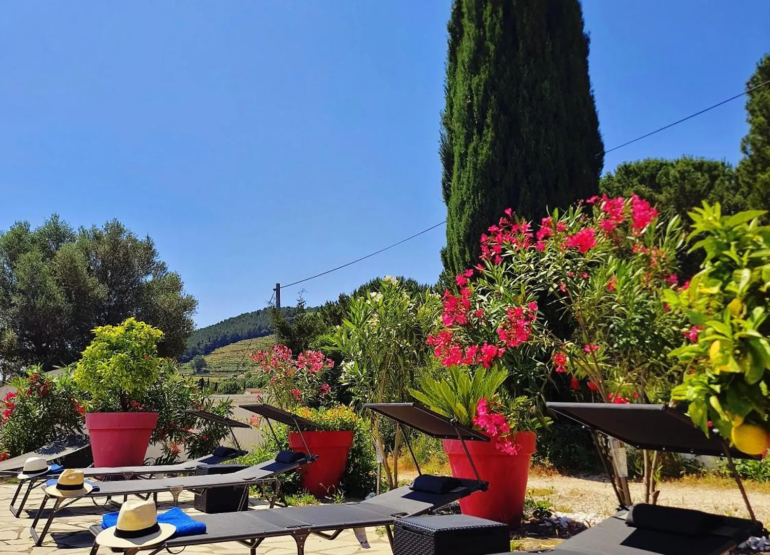 Logement La Belle Provence Le Beausset Apartment