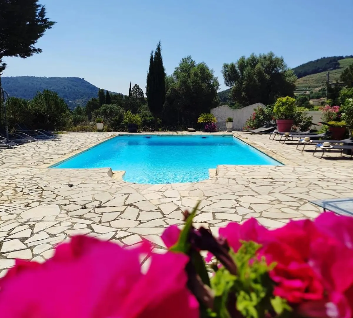 Logement La Belle Provence Le Beausset Appartement