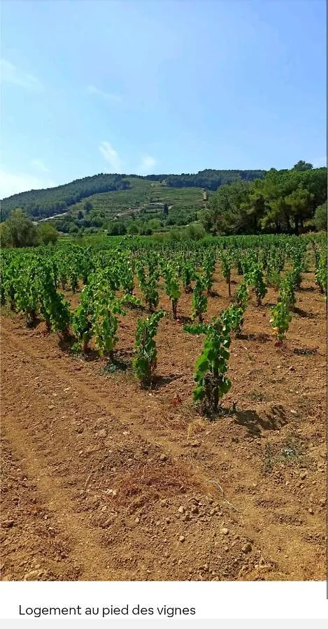 Logement La Belle Provence Le Beausset