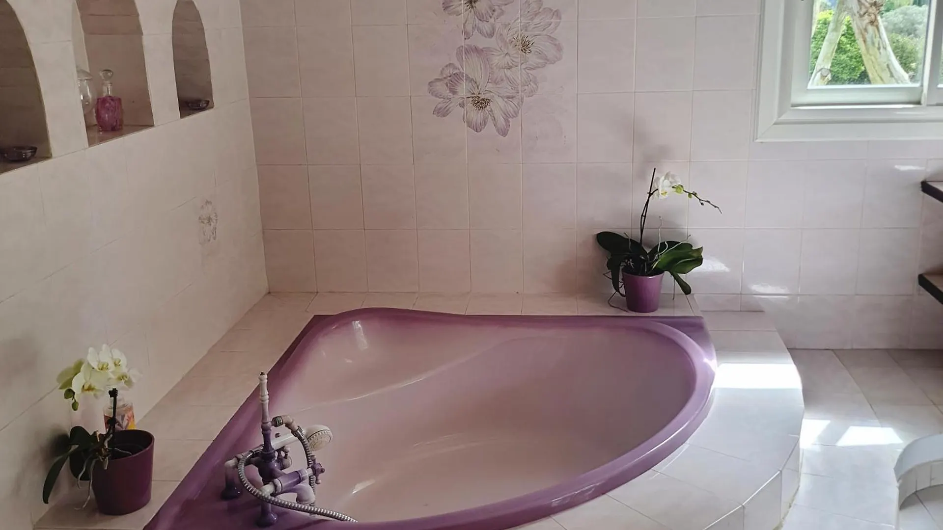 Logement La Belle Provence Apartment Le Beausset 0*,